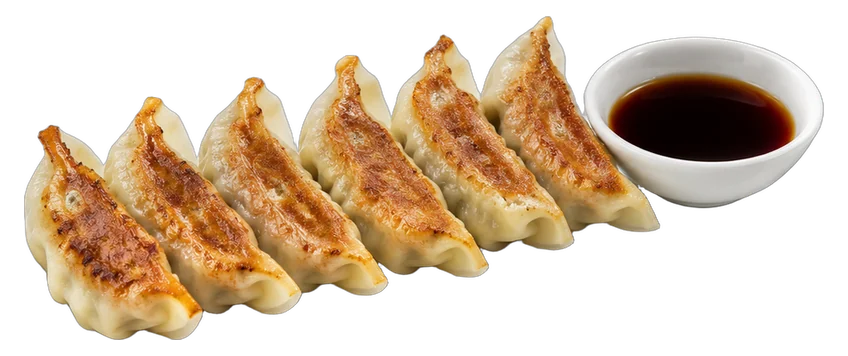 Gyoza Potstickers